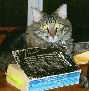 162829_1565031438172_3235424_n