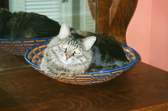 4422_1092553226512_5665392_n